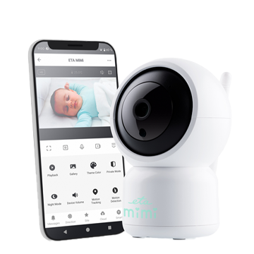 Nanny Camera