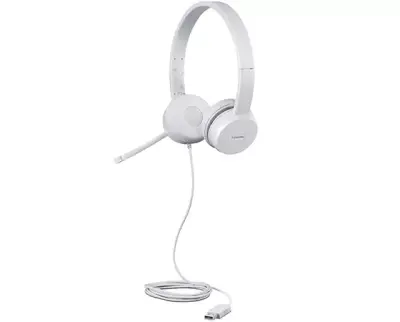 Headphone/ Other/ Lenovo 110 Stereo USB Headset