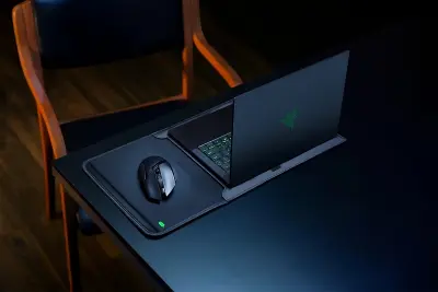 Razer Protective Sleeve V2 (RC21-01580100-R3M1) Black