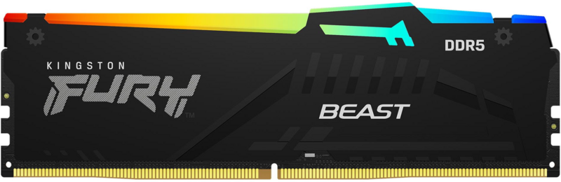 PC Components/ Memory/ DDR5 DIMM/ 16G D5-600030 EXPO Beast RGB